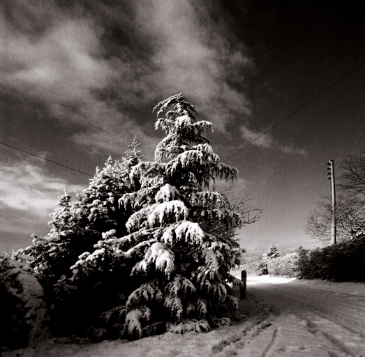 Monochrome Landscape